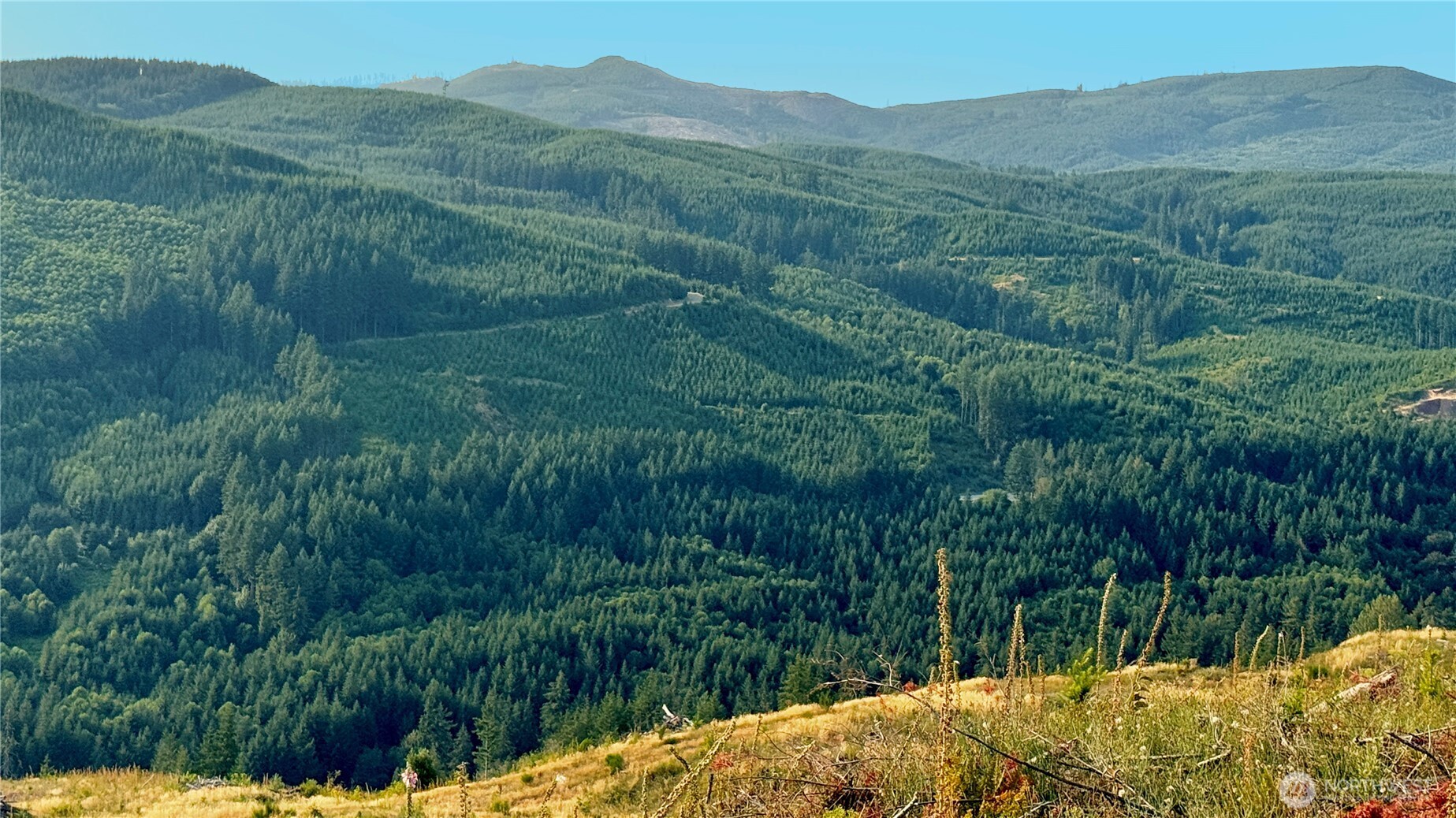 3725 Little Kalama River Road Woodland WA 98584