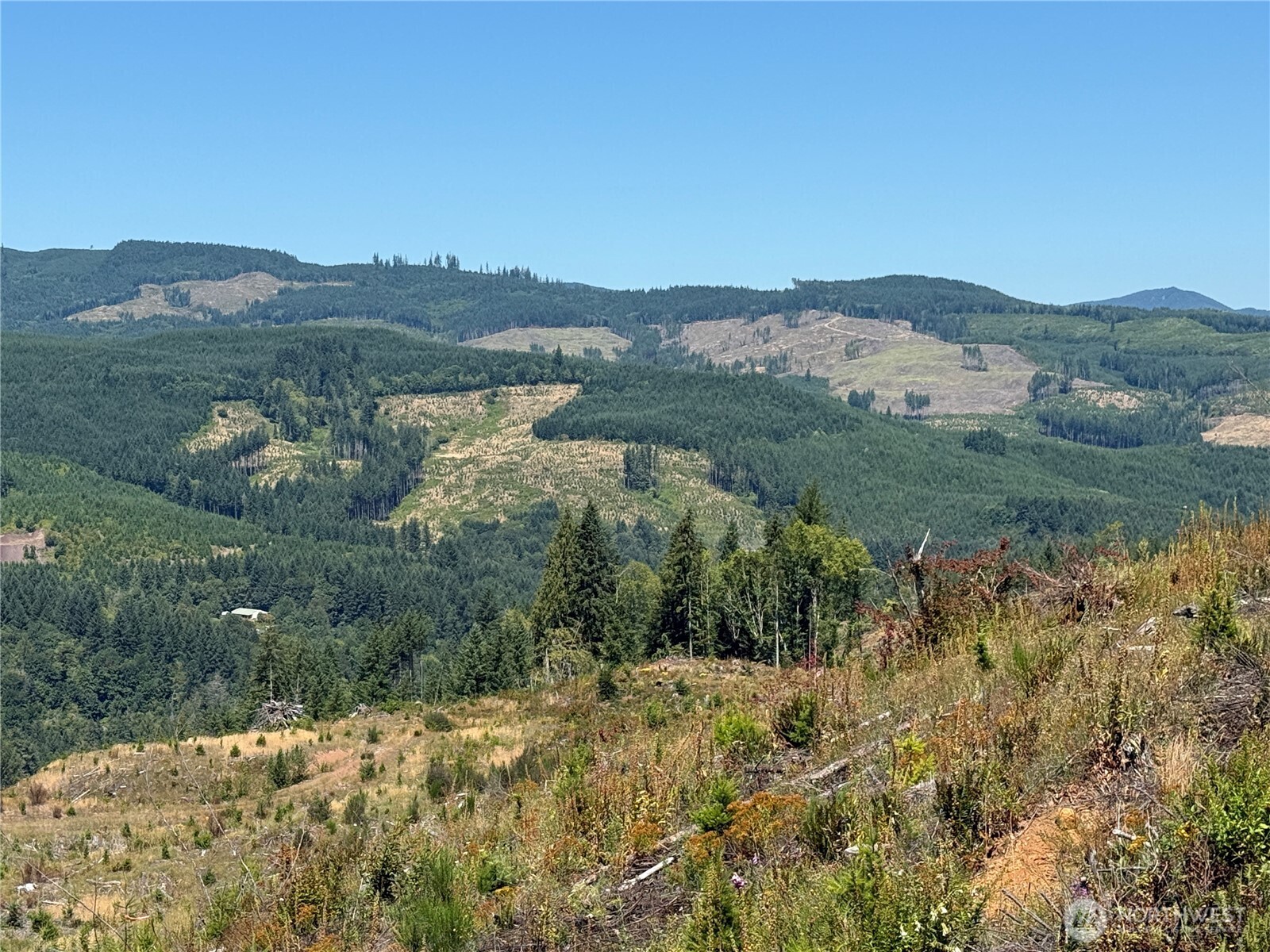 3725 Little Kalama River Road Woodland WA 98584