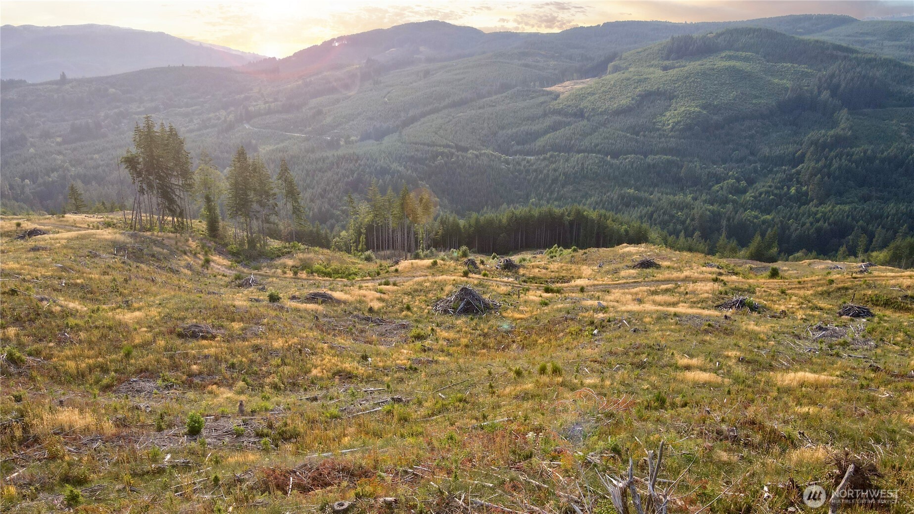 3725 Little Kalama River Road Woodland WA 98584