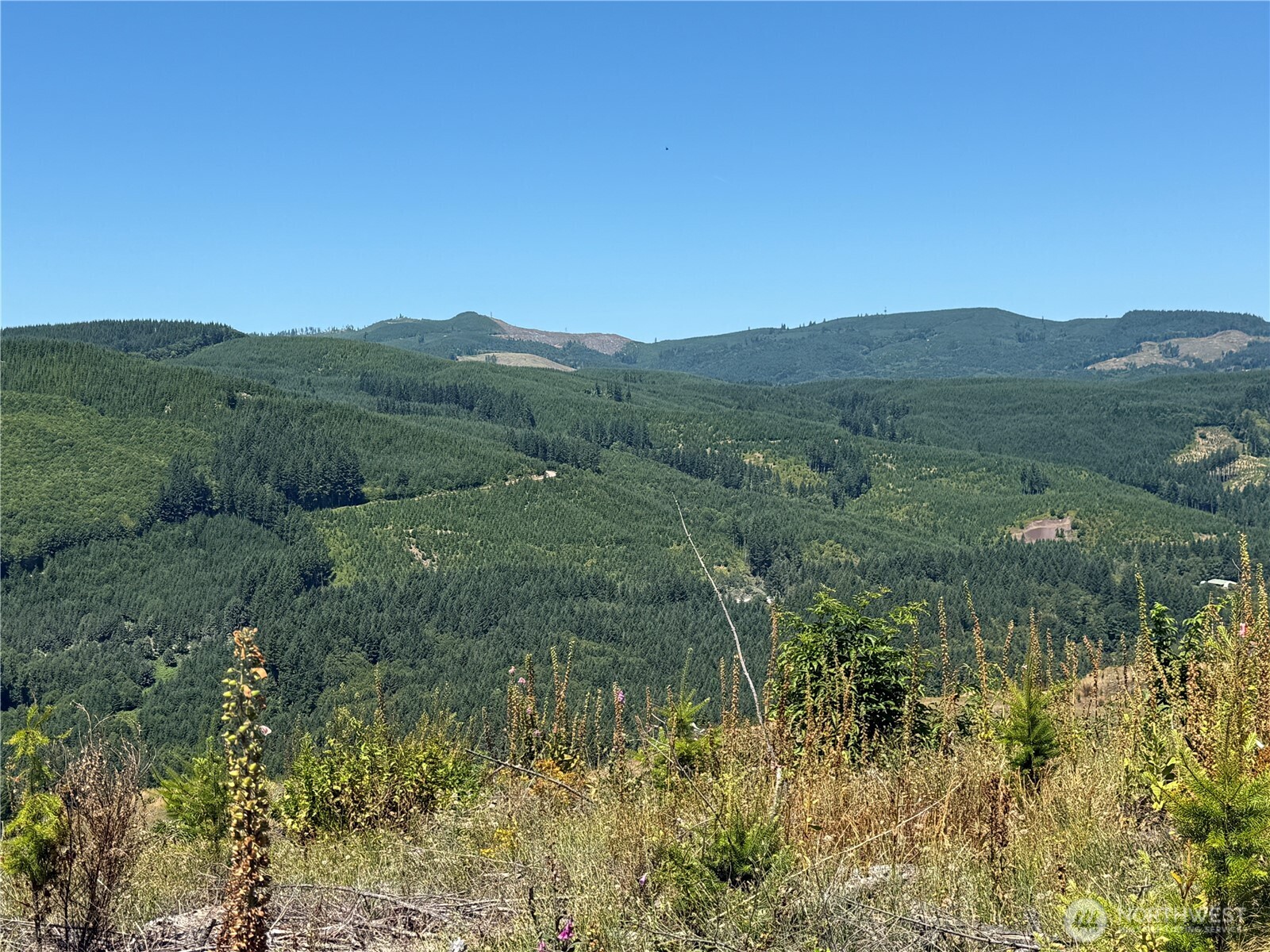 3725 Little Kalama River Road Woodland WA 98584