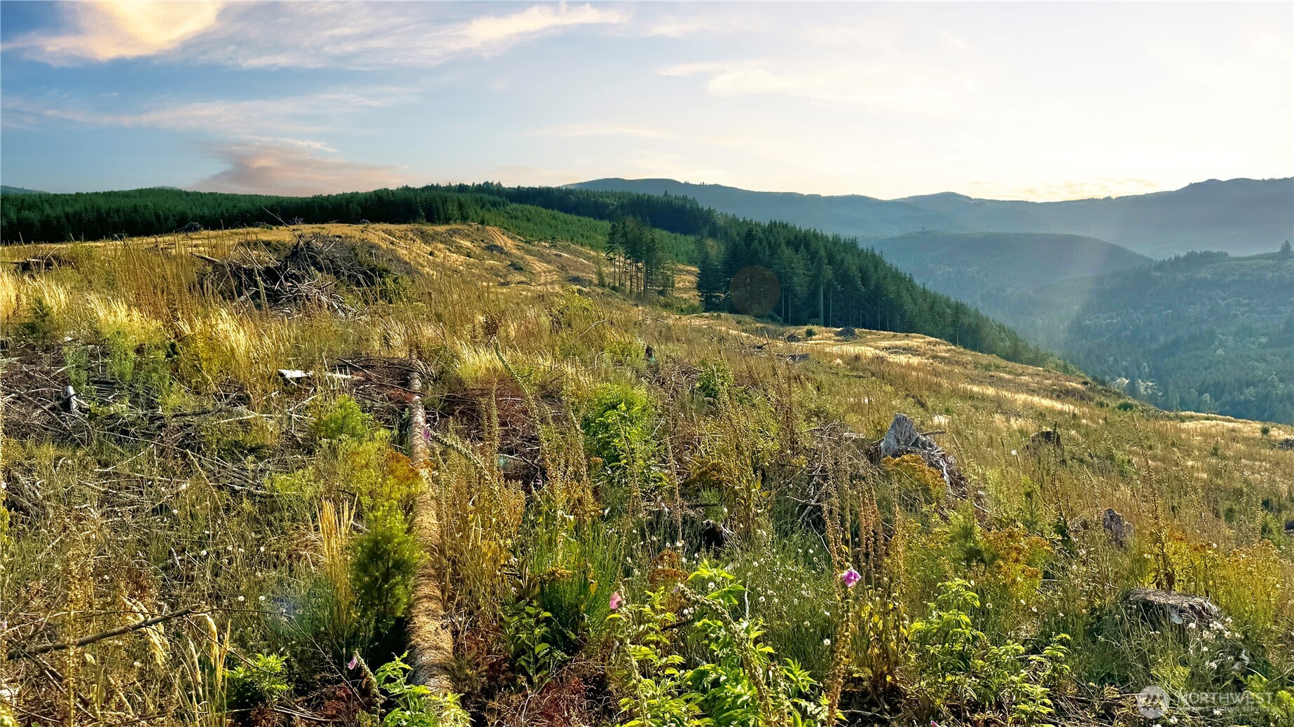 3725 Little Kalama River Road Woodland WA 98584