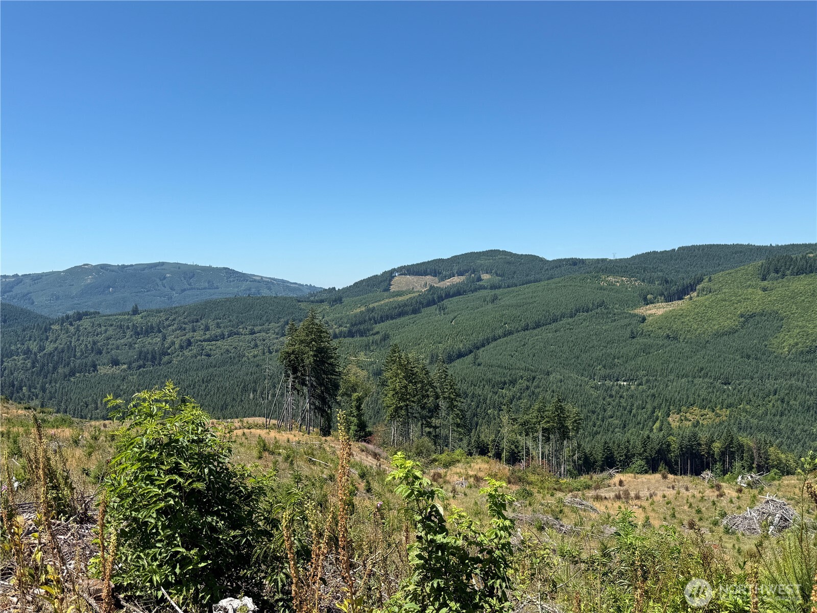 3725 Little Kalama River Road Woodland WA 98584