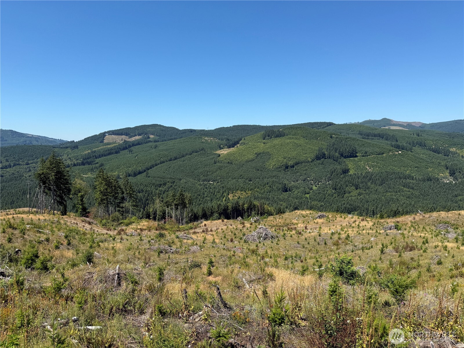 3725 Little Kalama River Road Woodland WA 98584