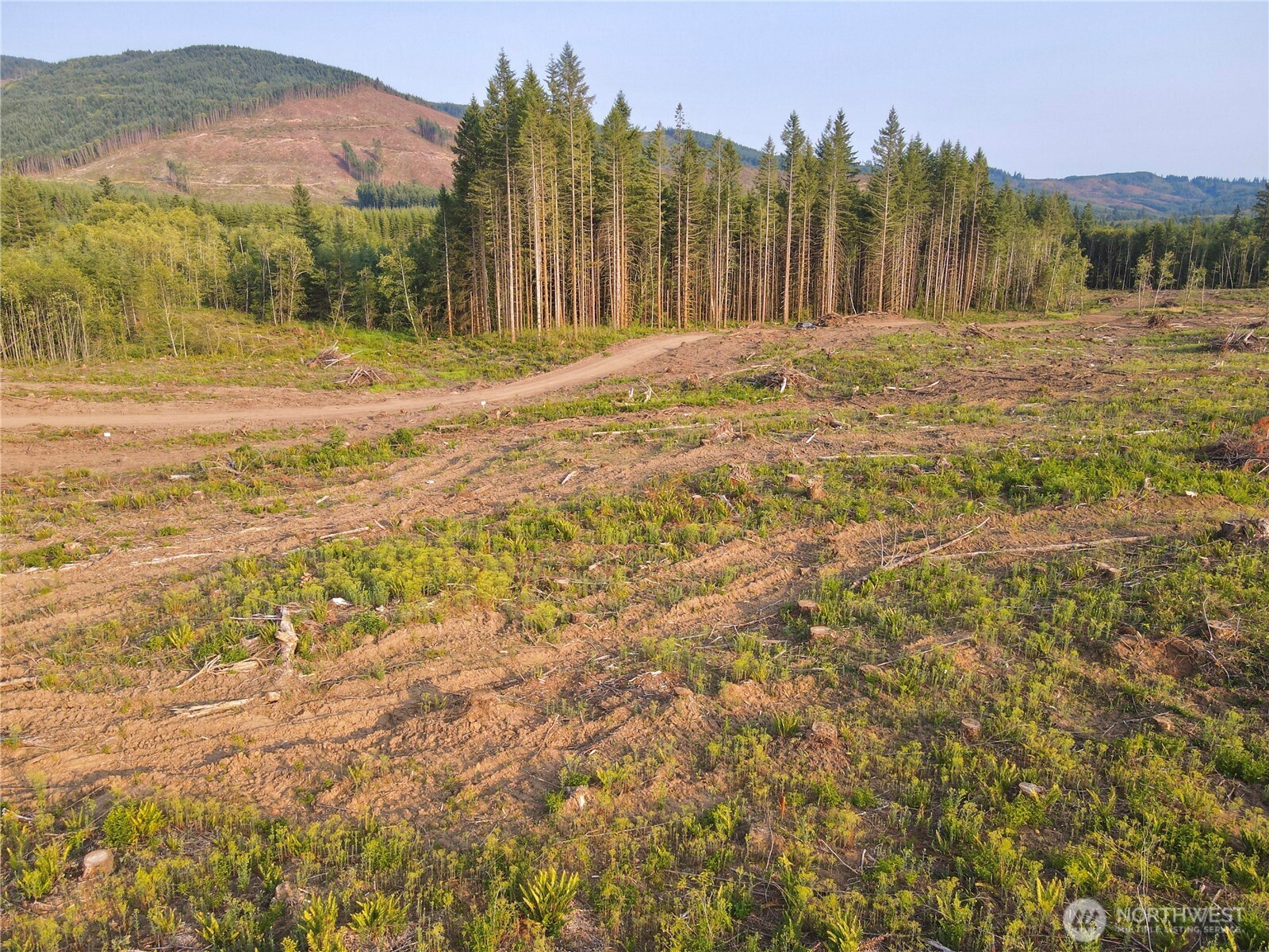 3725 Little Kalama River Road Woodland WA 98584