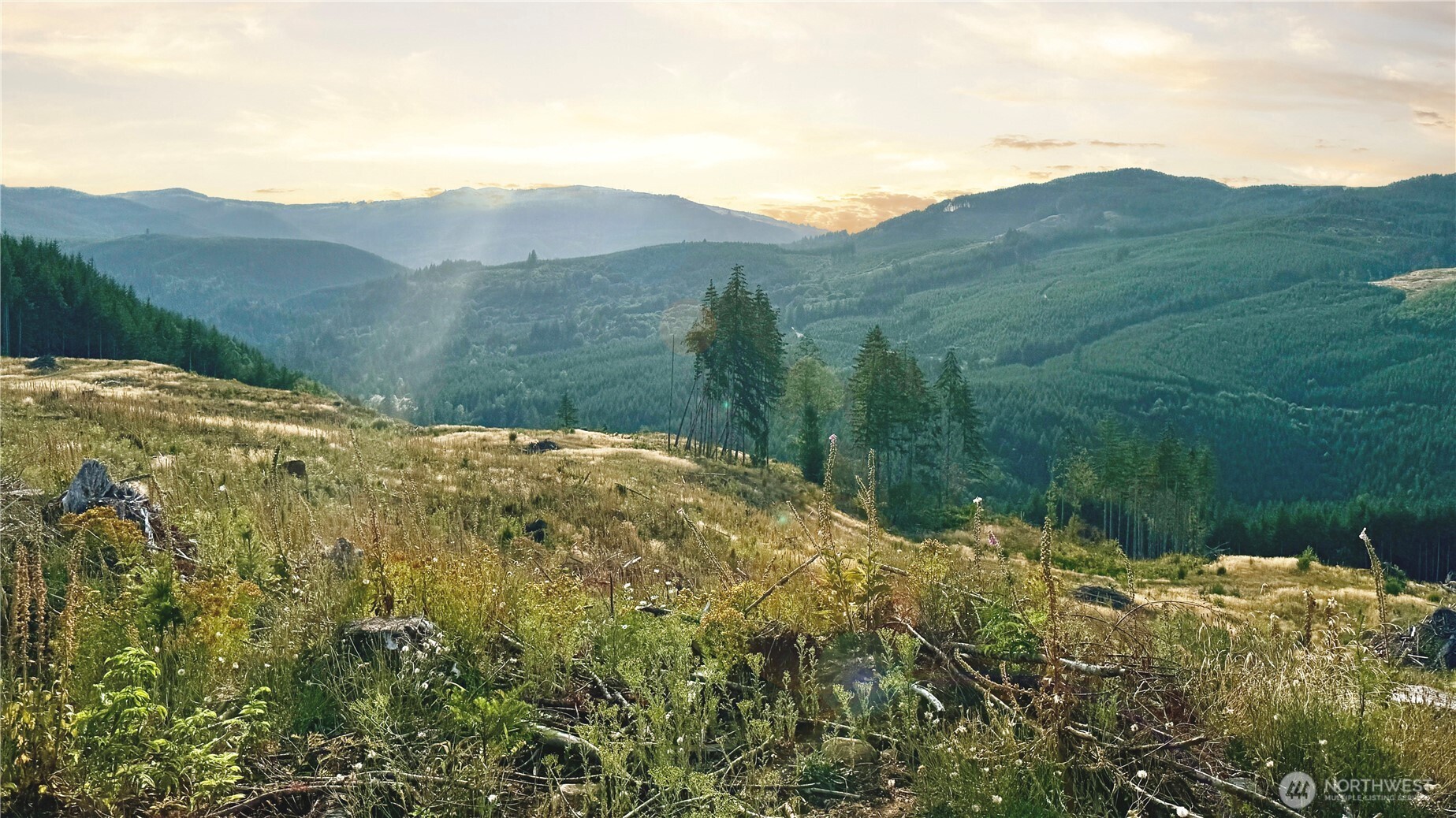 3725 Little Kalama River Road Woodland WA 98584
