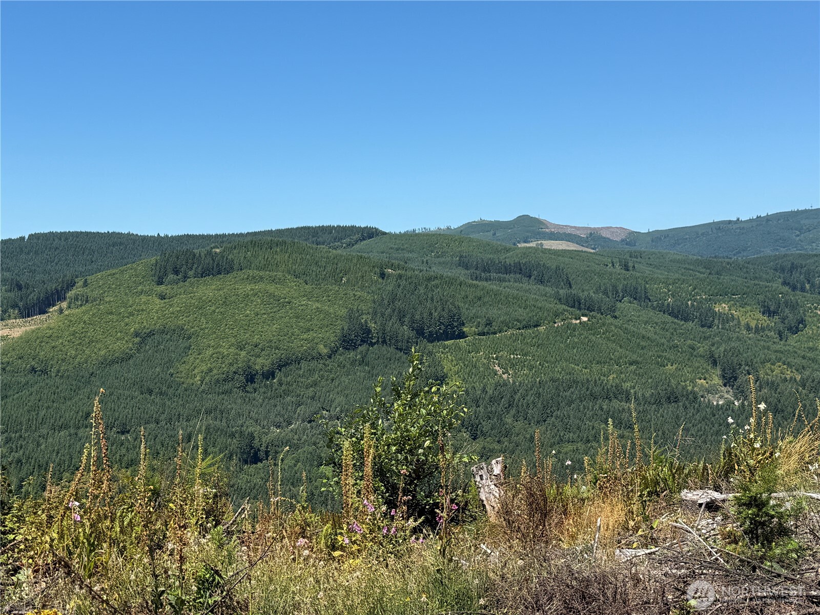 3725 Little Kalama River Road Woodland WA 98584