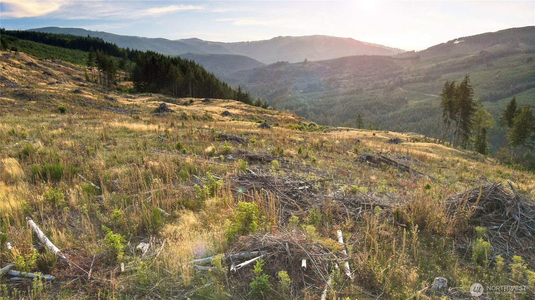 3725 Little Kalama River Road Woodland WA 98584