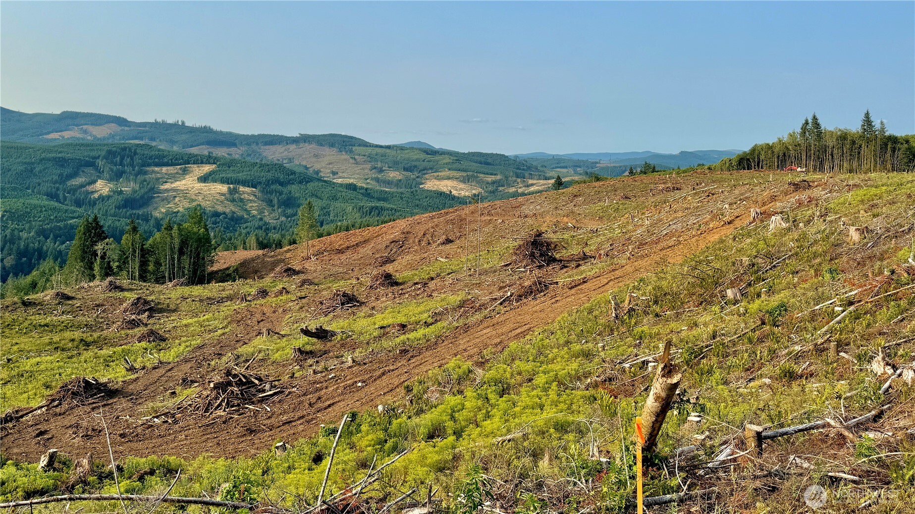 3725 Little Kalama River Road Woodland WA 98584