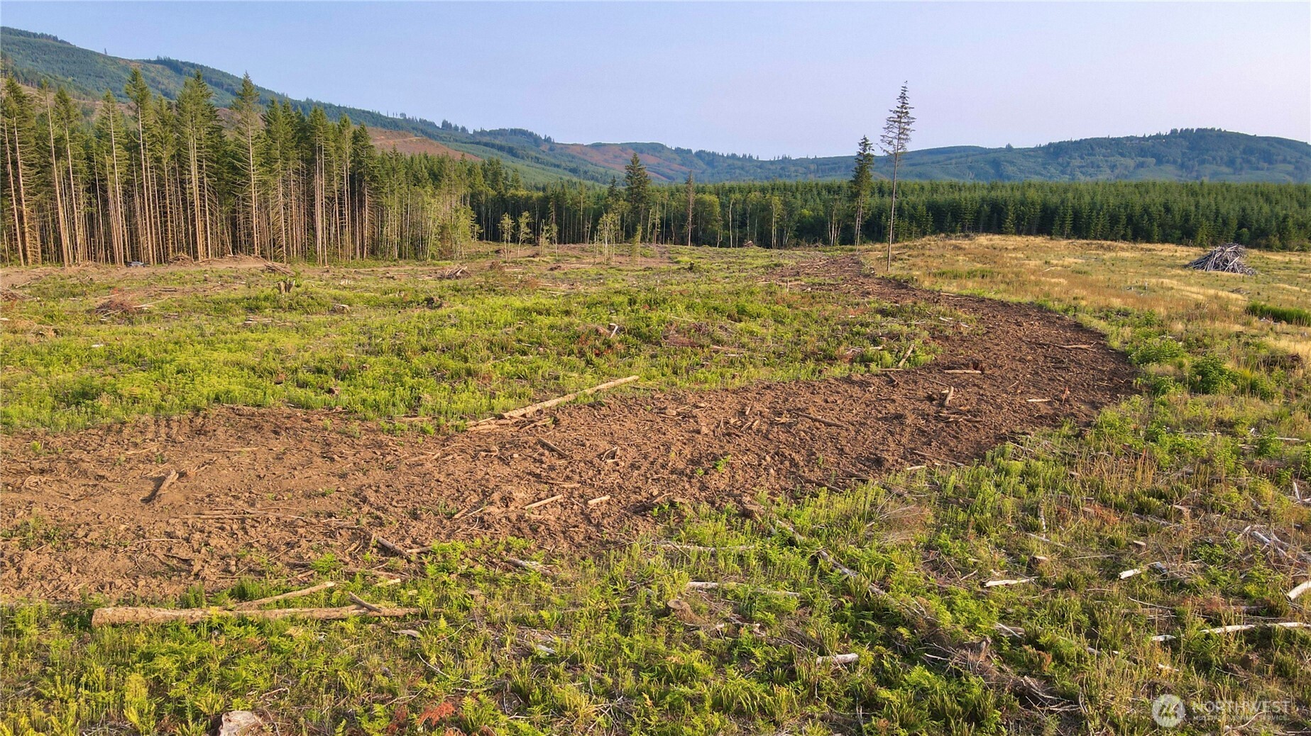 3725 Little Kalama River Road Woodland WA 98584