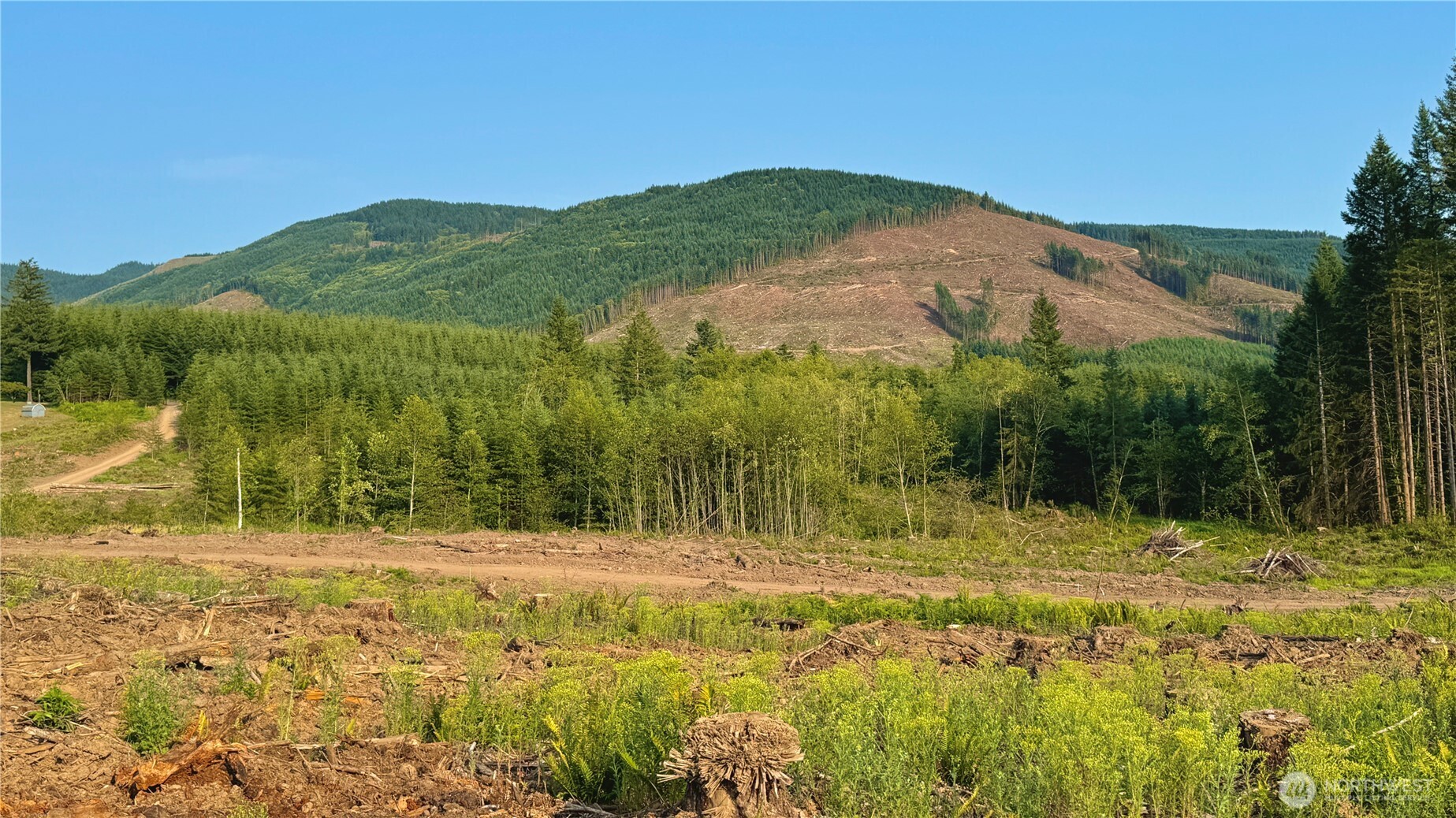 3725 Little Kalama River Road Woodland WA 98584