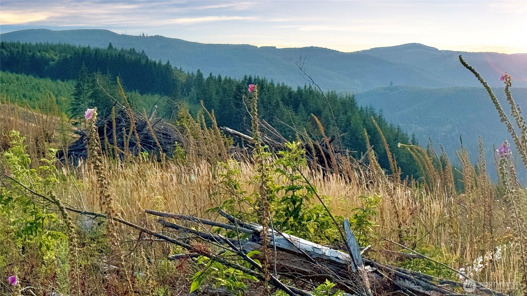 3725 Little Kalama River Road Woodland WA 98584