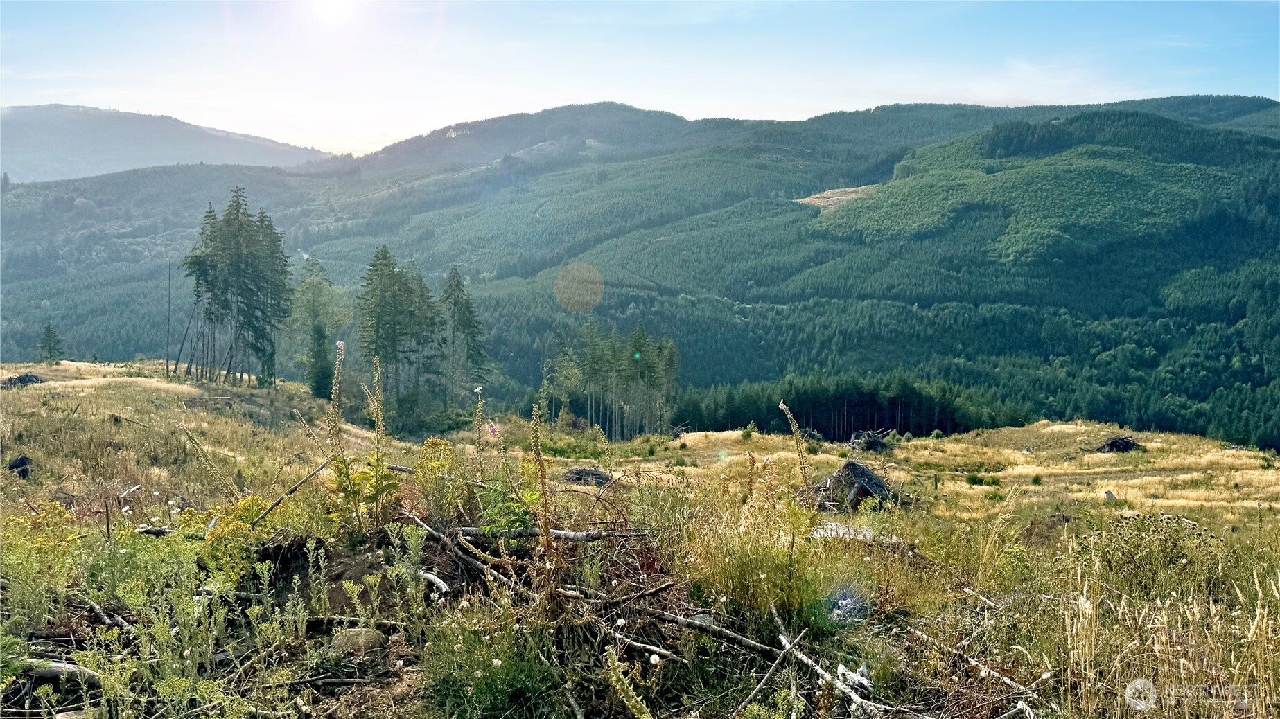 3725 Little Kalama River Road Woodland WA 98584