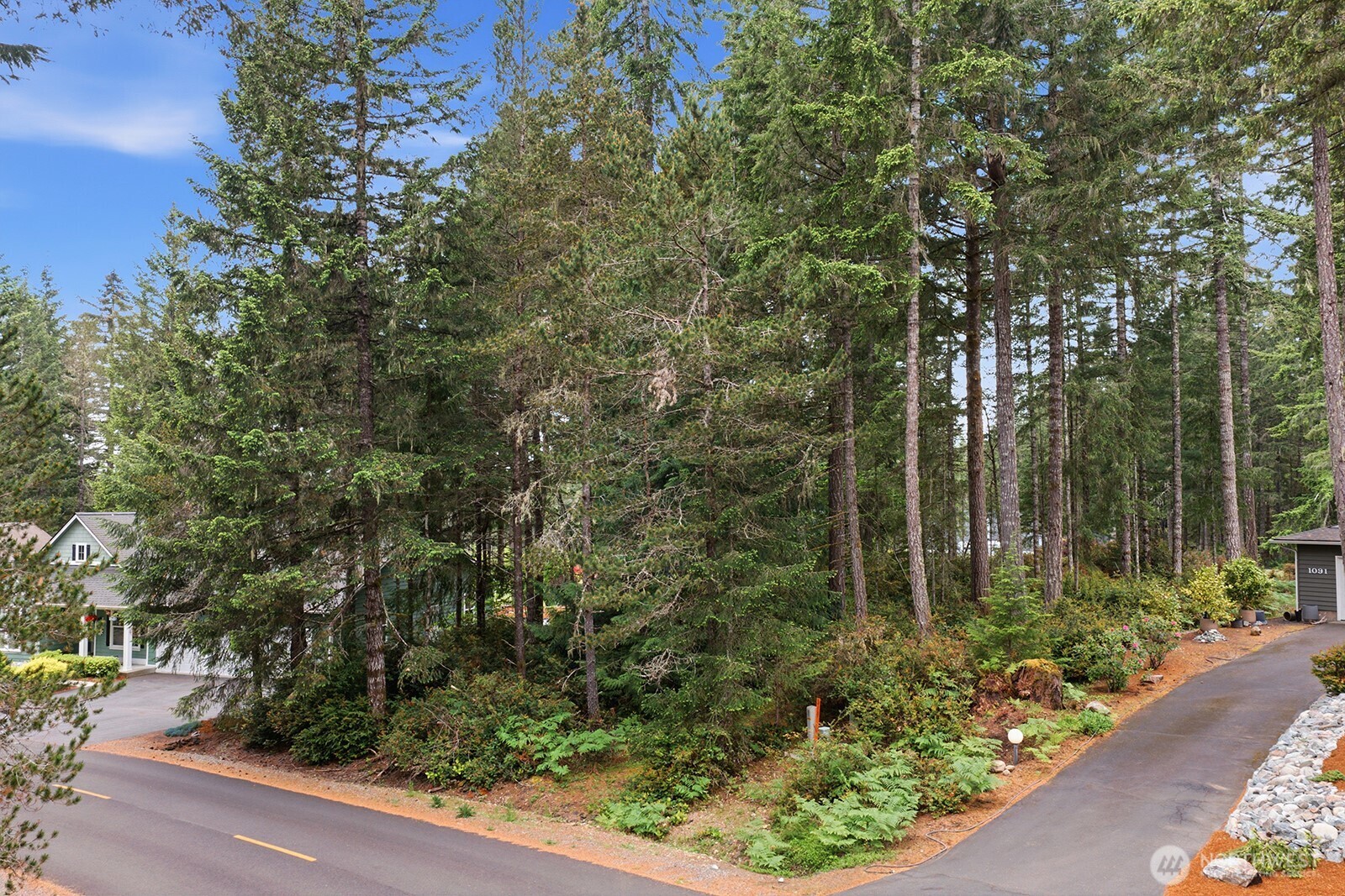 1081 E Vine Maple Lane Union WA 98592