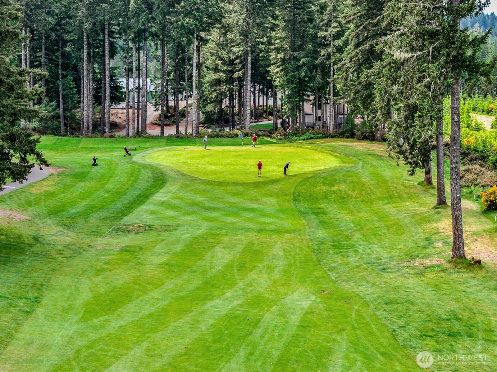 1081 E Vine Maple Lane Union WA 98592