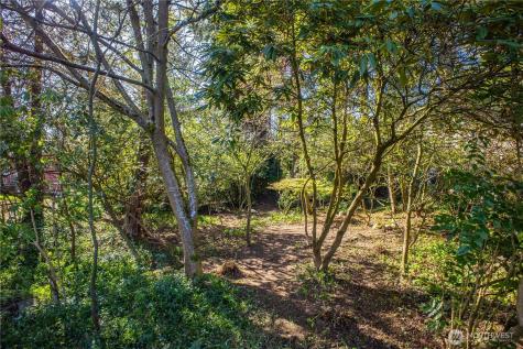 1 NE 135th Street Seattle WA 98125