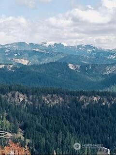 14638 Us Highway 2 Leavenworth WA 98826