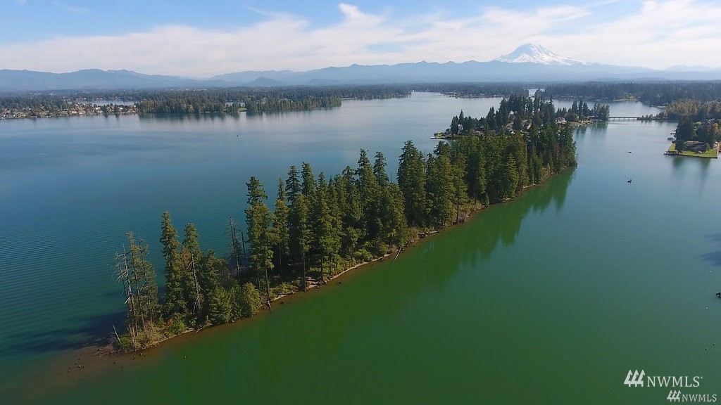 1 179th Avenue E Lake Tapps WA 98391