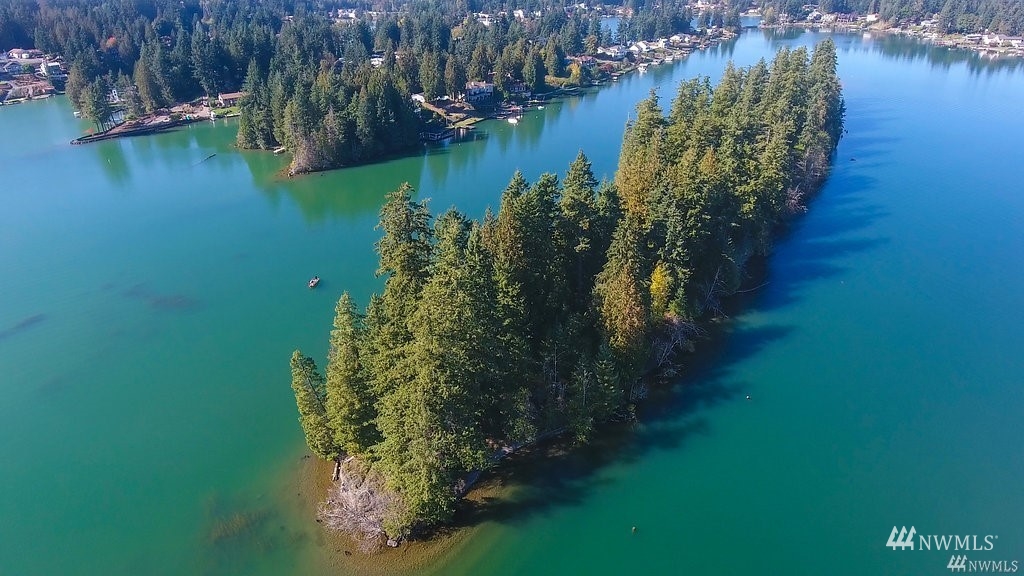 1 179th Avenue E Lake Tapps WA 98391