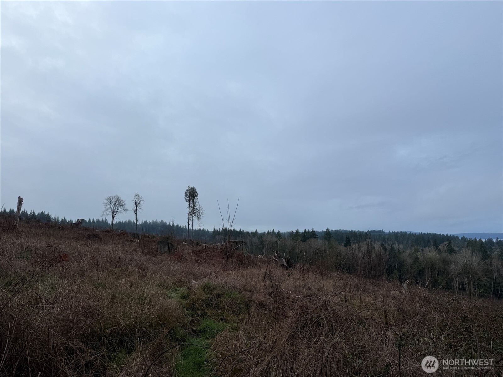 6 Rimstone Loop Belfair WA 98528