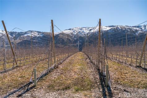 0 Chelan Butte Road Chelan WA 98816