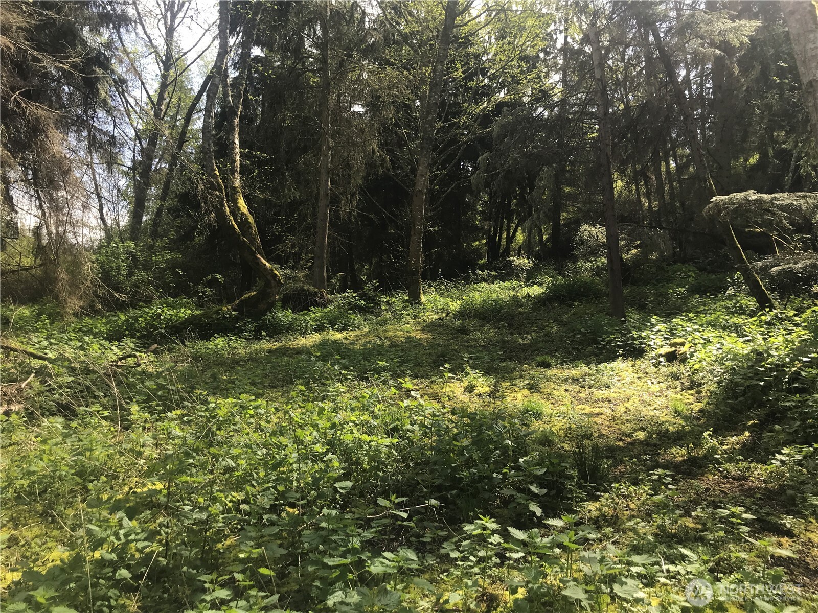 0 Mistywood Coupeville WA 98239