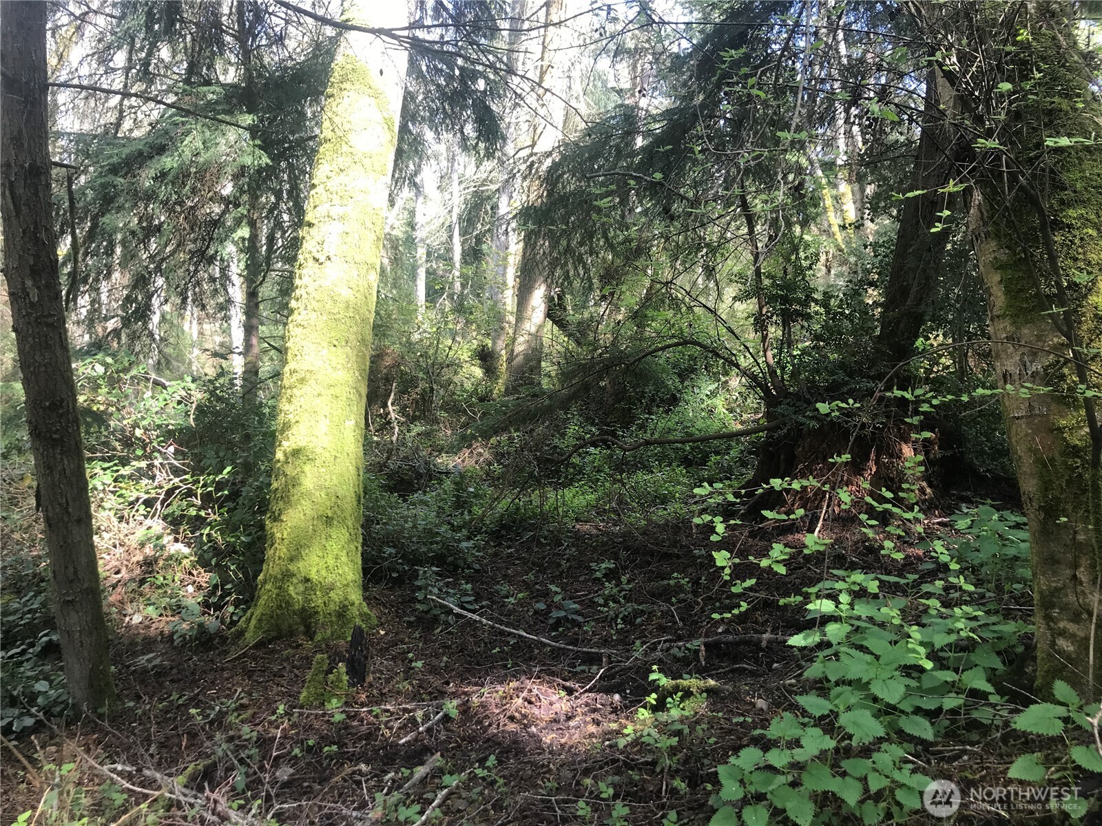 0 Mistywood Coupeville WA 98239