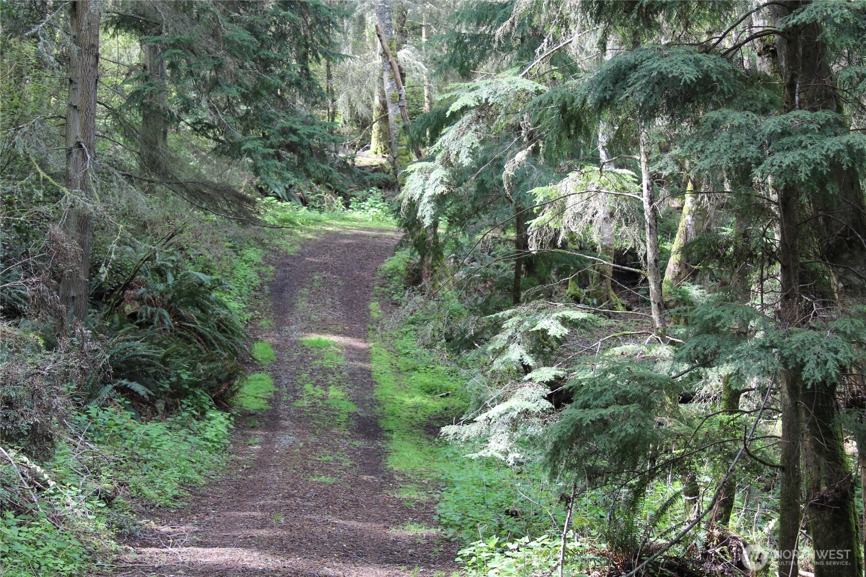 0 Mistywood Coupeville WA 98239