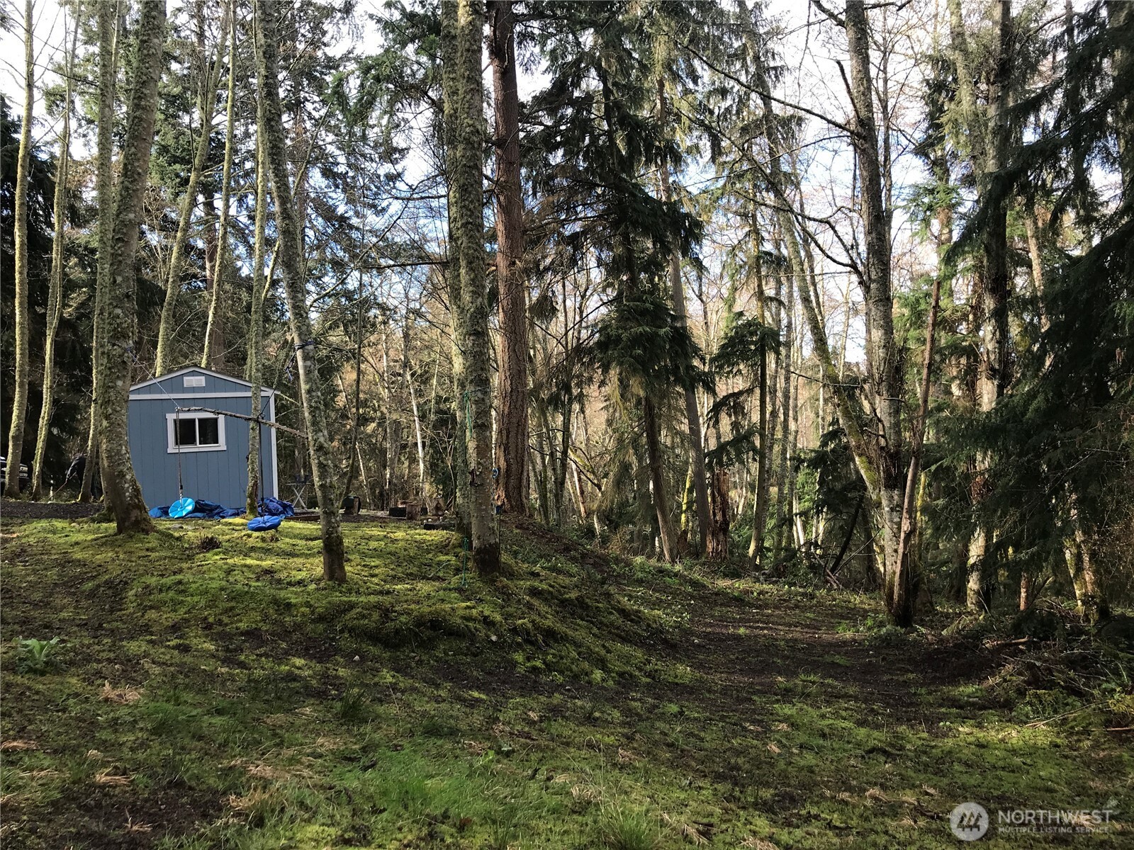 0 Mistywood Coupeville WA 98239