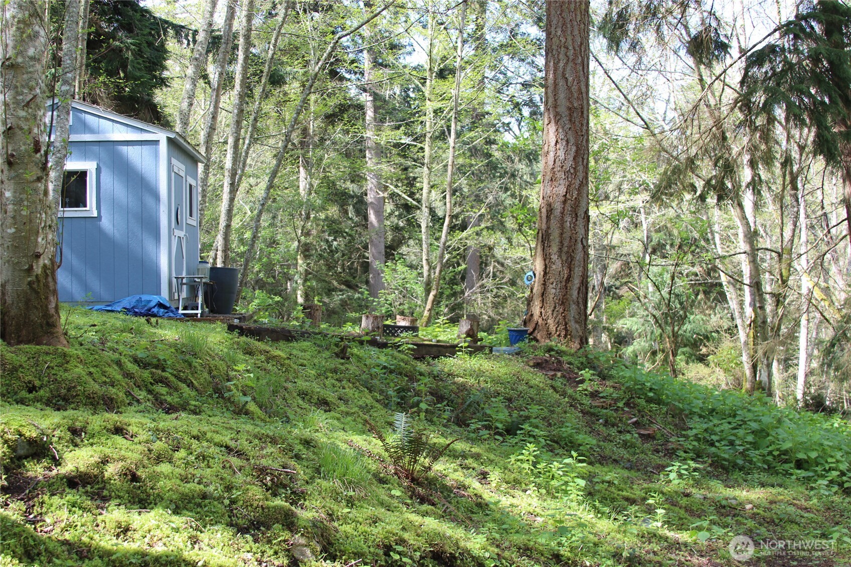 0 Mistywood Coupeville WA 98239