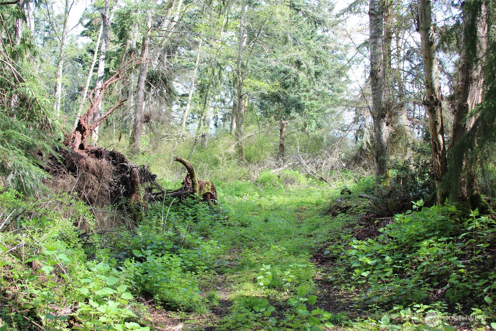 0 Mistywood Coupeville WA 98239
