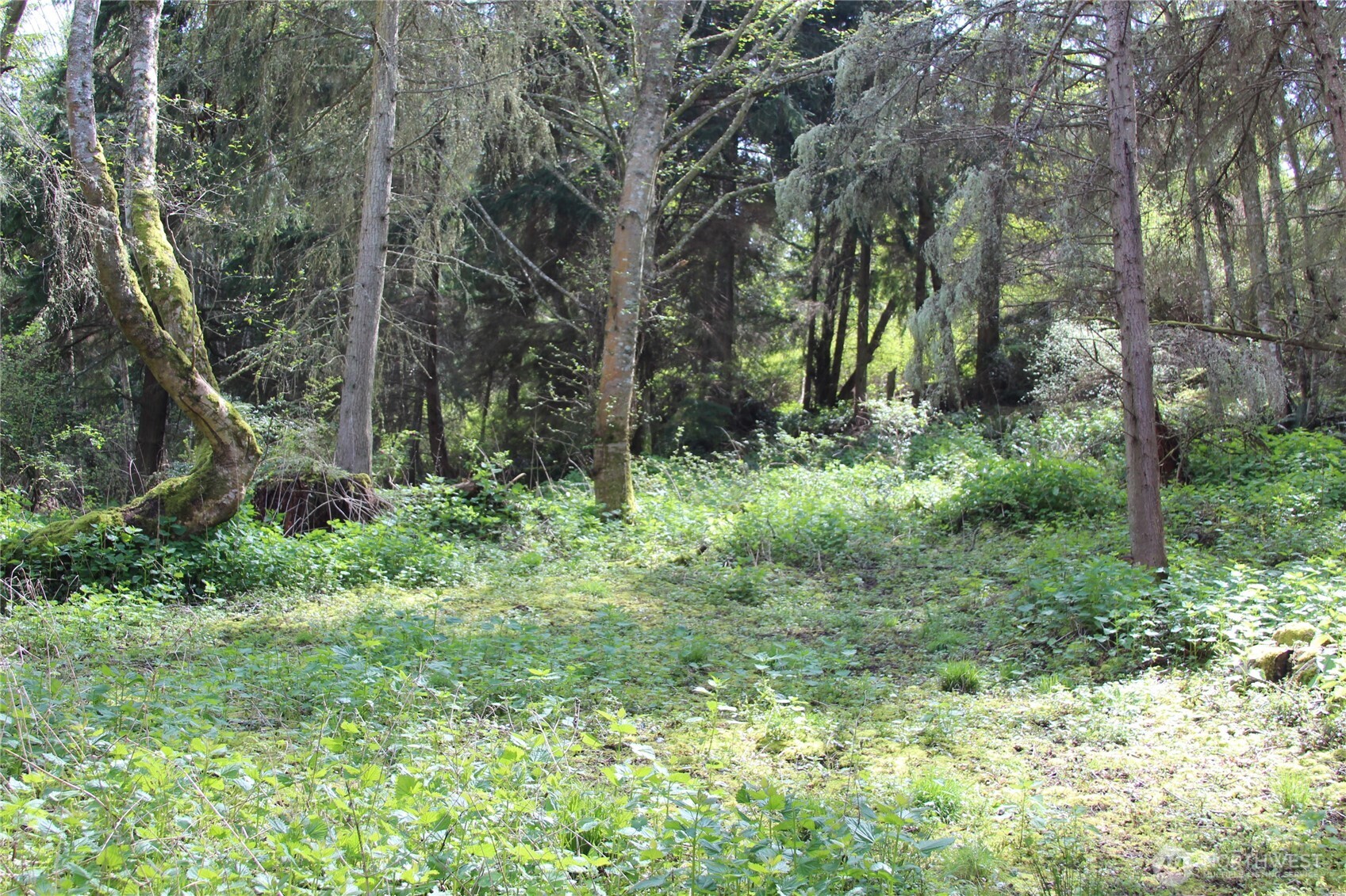 0 Mistywood Coupeville WA 98239