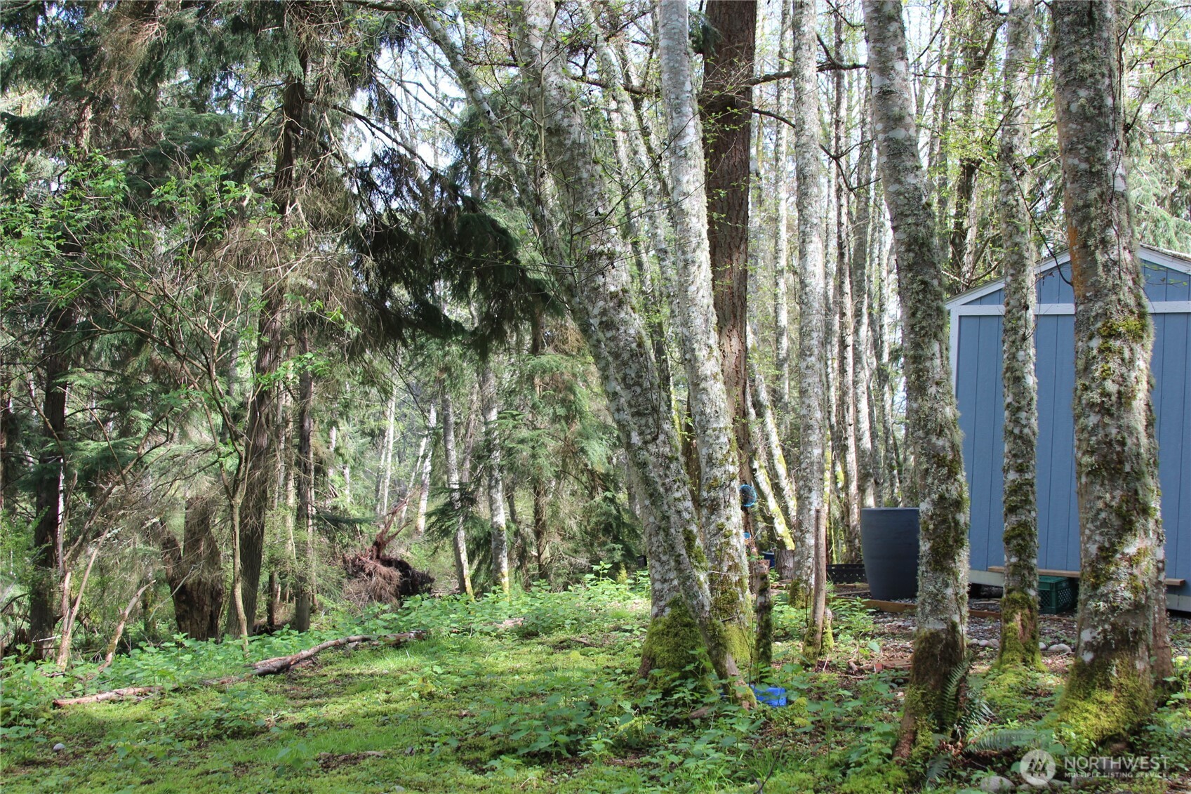 0 Mistywood Coupeville WA 98239