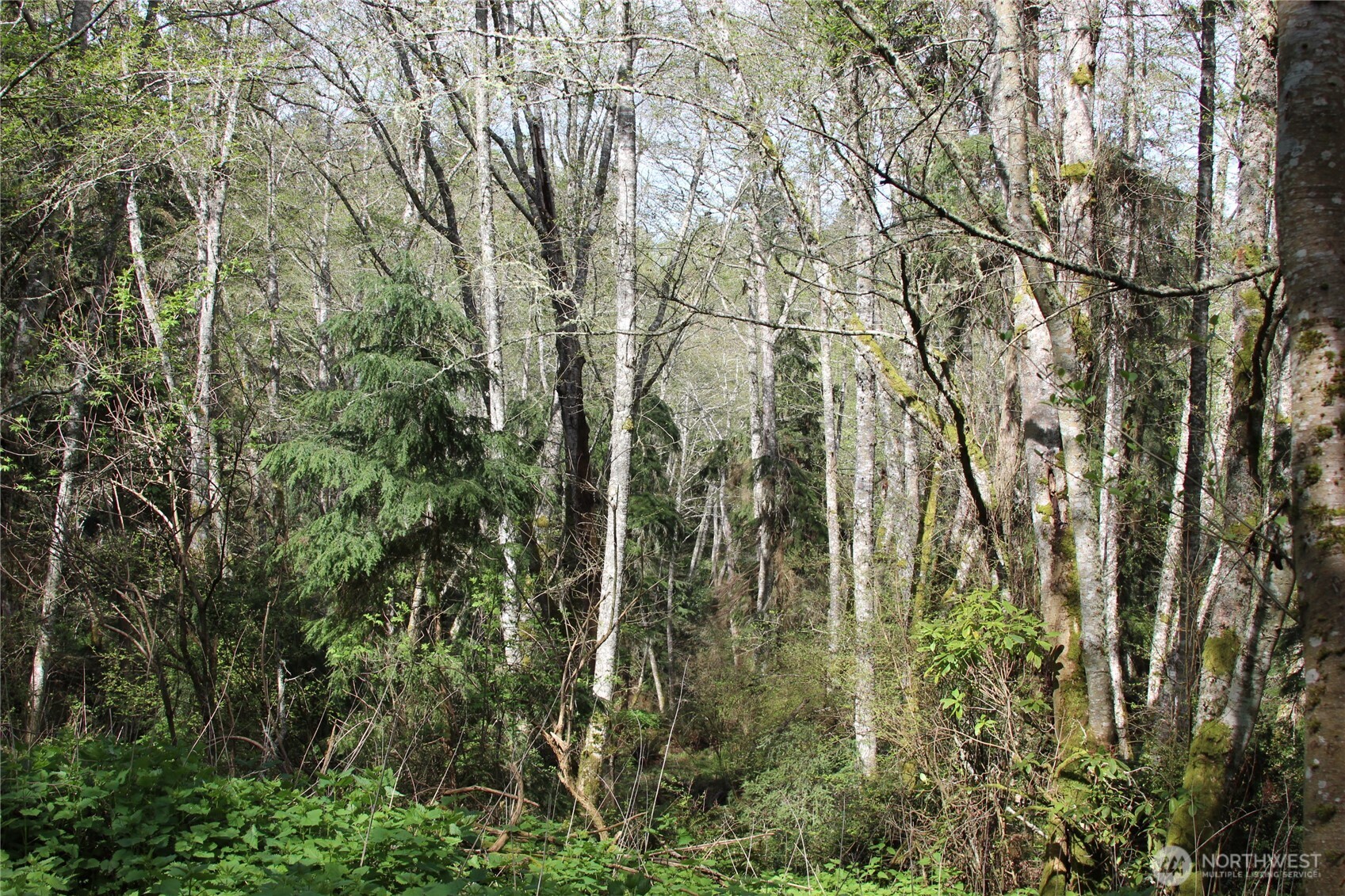 0 Mistywood Coupeville WA 98239