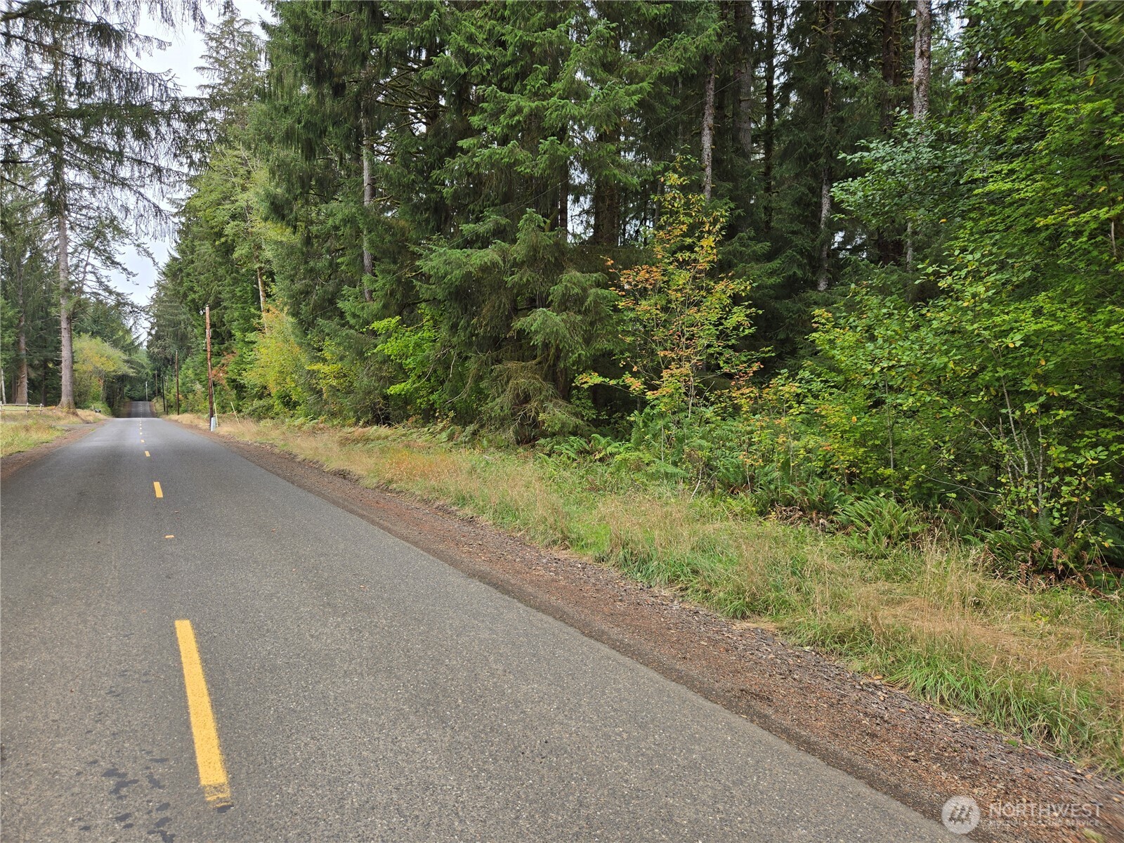 0 Lund Road Cosmopolis WA 98537