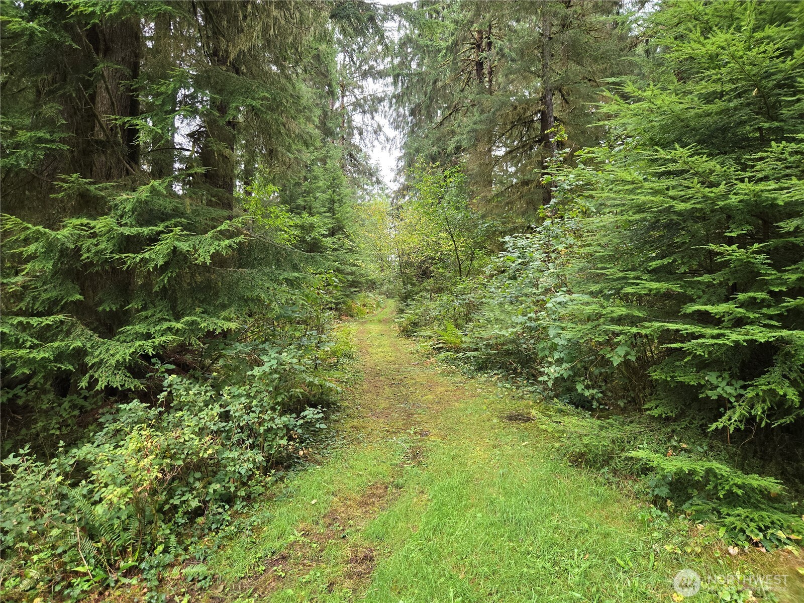 0 Lund Road Cosmopolis WA 98537