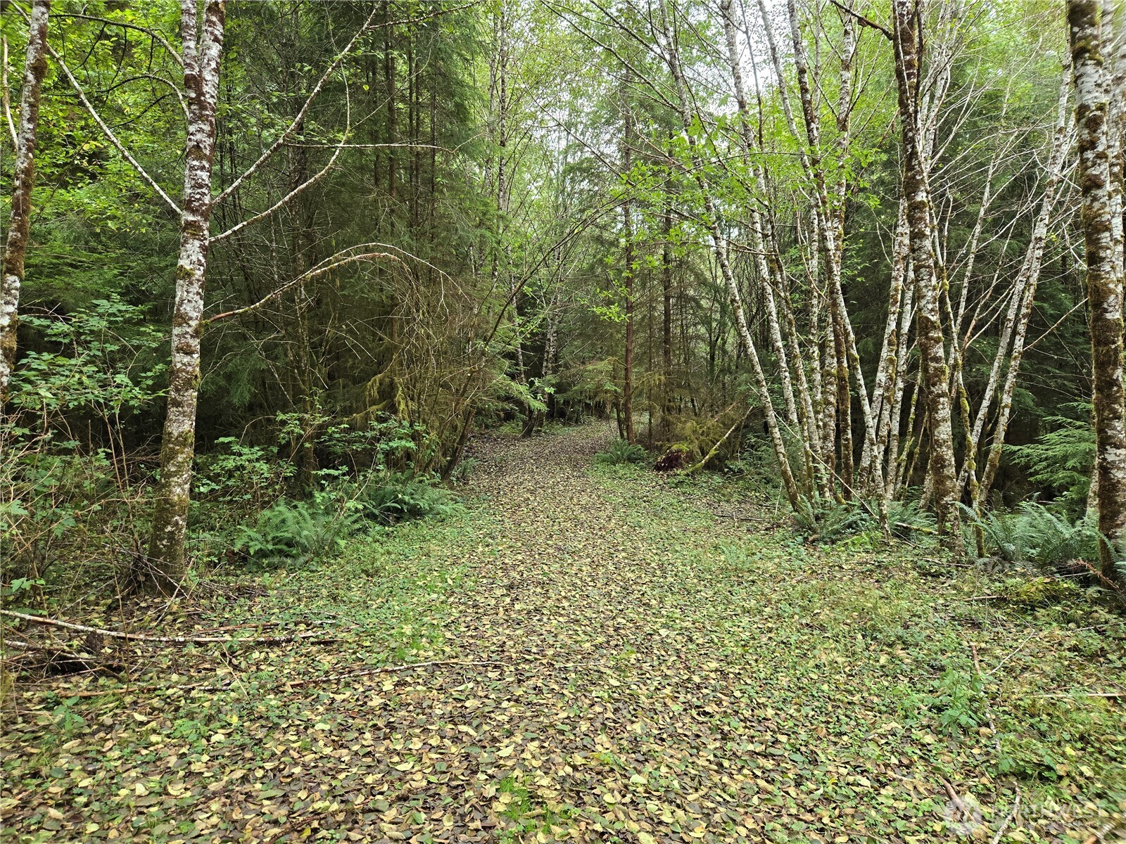 0 Lund Road Cosmopolis WA 98537