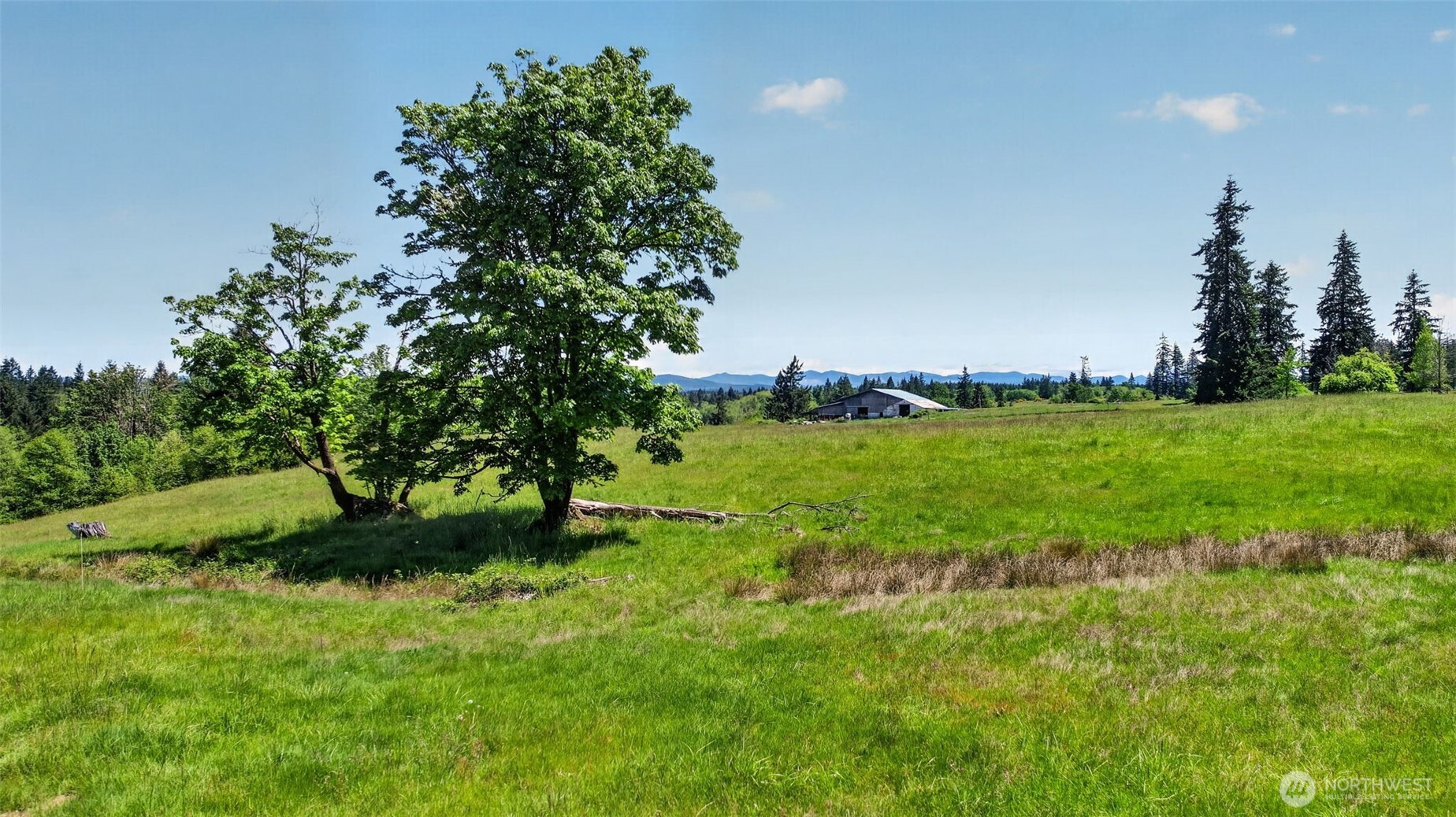 108 Birchfield Cmns Onalaska WA 98570