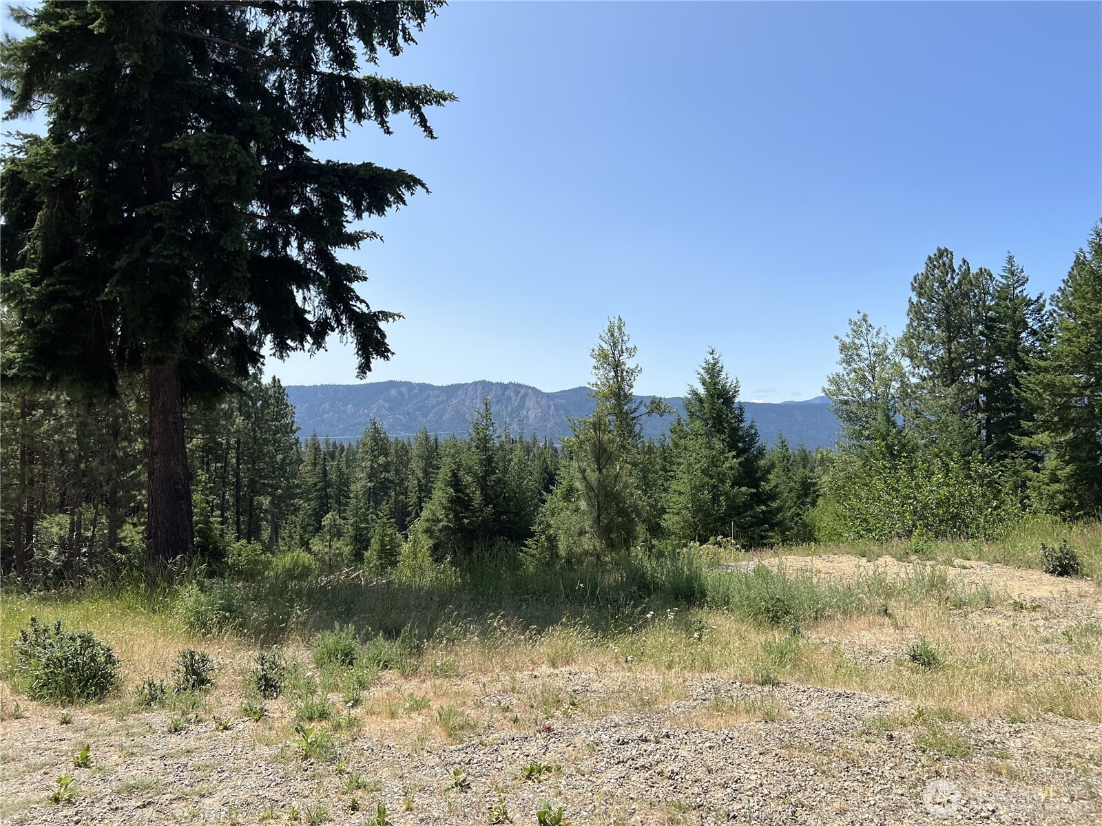 1571 Summit View Road Cle Elum WA 98922