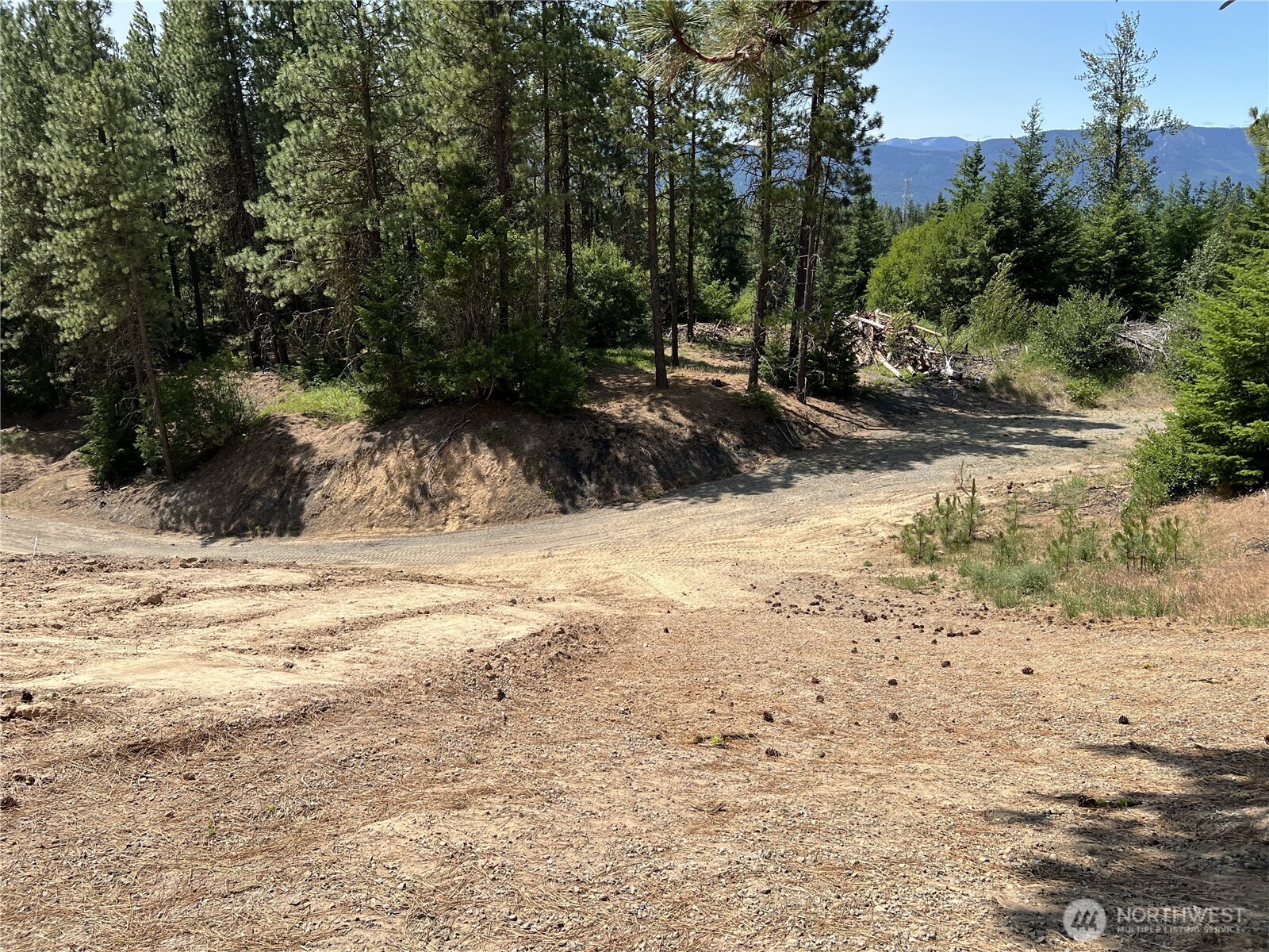 1571 Summit View Road Cle Elum WA 98922