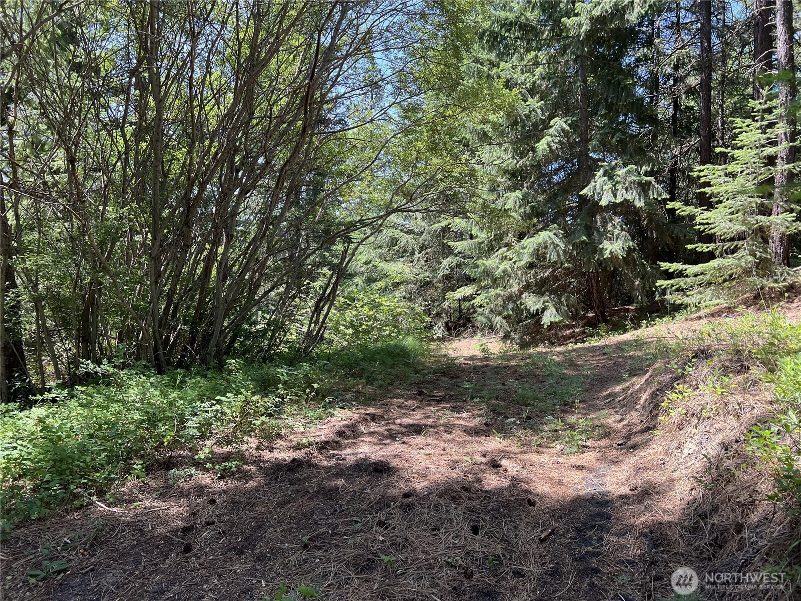 1571 Summit View Road Cle Elum WA 98922