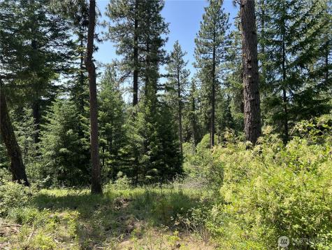 1571 Summit View Road Cle Elum WA 98922