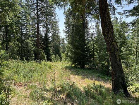 1571 Summit View Road Cle Elum WA 98922