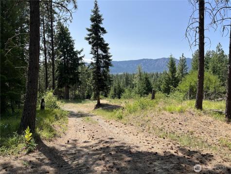 1571 Summit View Road Cle Elum WA 98922