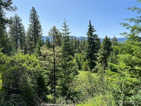 1571 Summit View Road Cle Elum WA 98922