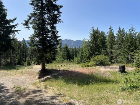 1571 Summit View Road Cle Elum WA 98922