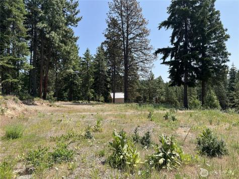 1571 Summit View Road Cle Elum WA 98922
