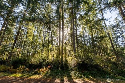 11324 Laurel Place Anderson Island WA 98303