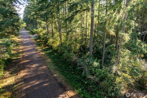 11324 Laurel Place Anderson Island WA 98303