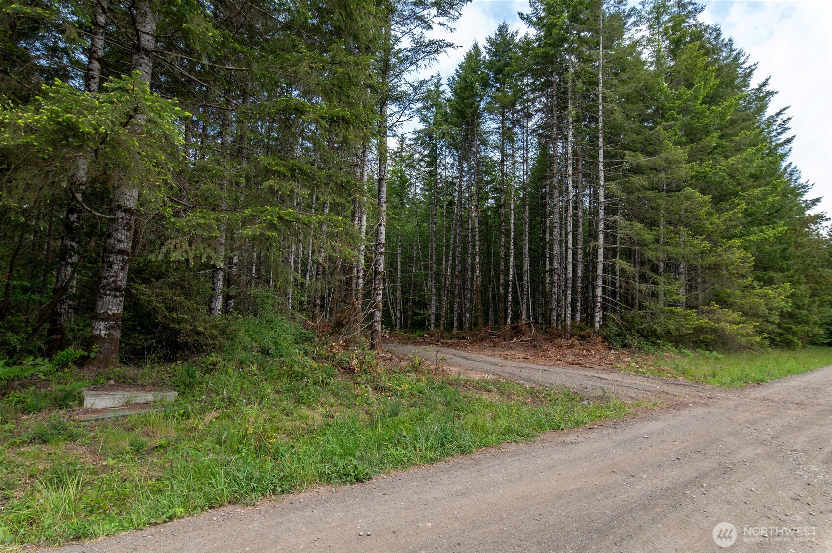0 E Elaine Place Belfair WA 98528