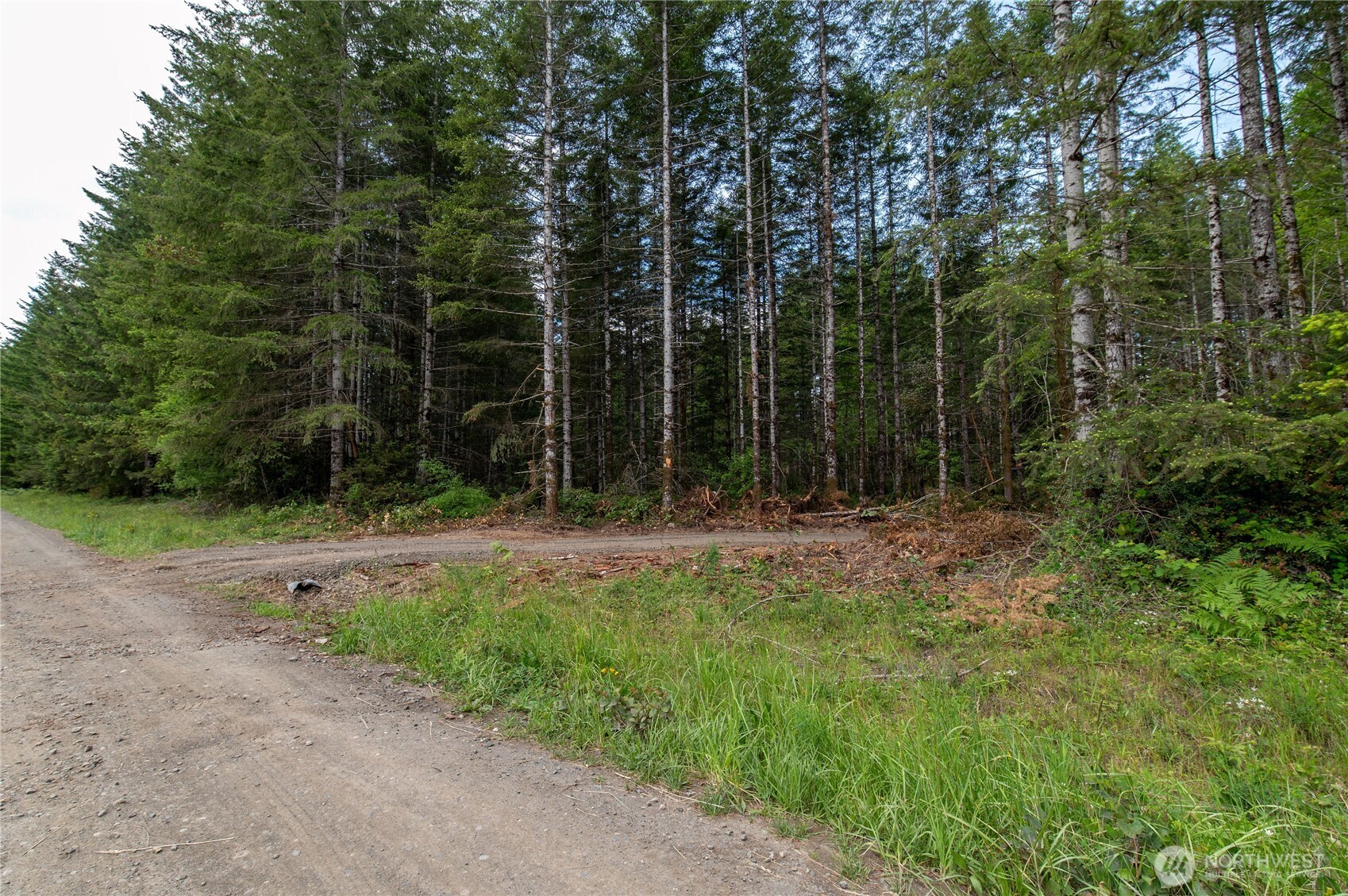 0 E Elaine Place Belfair WA 98528